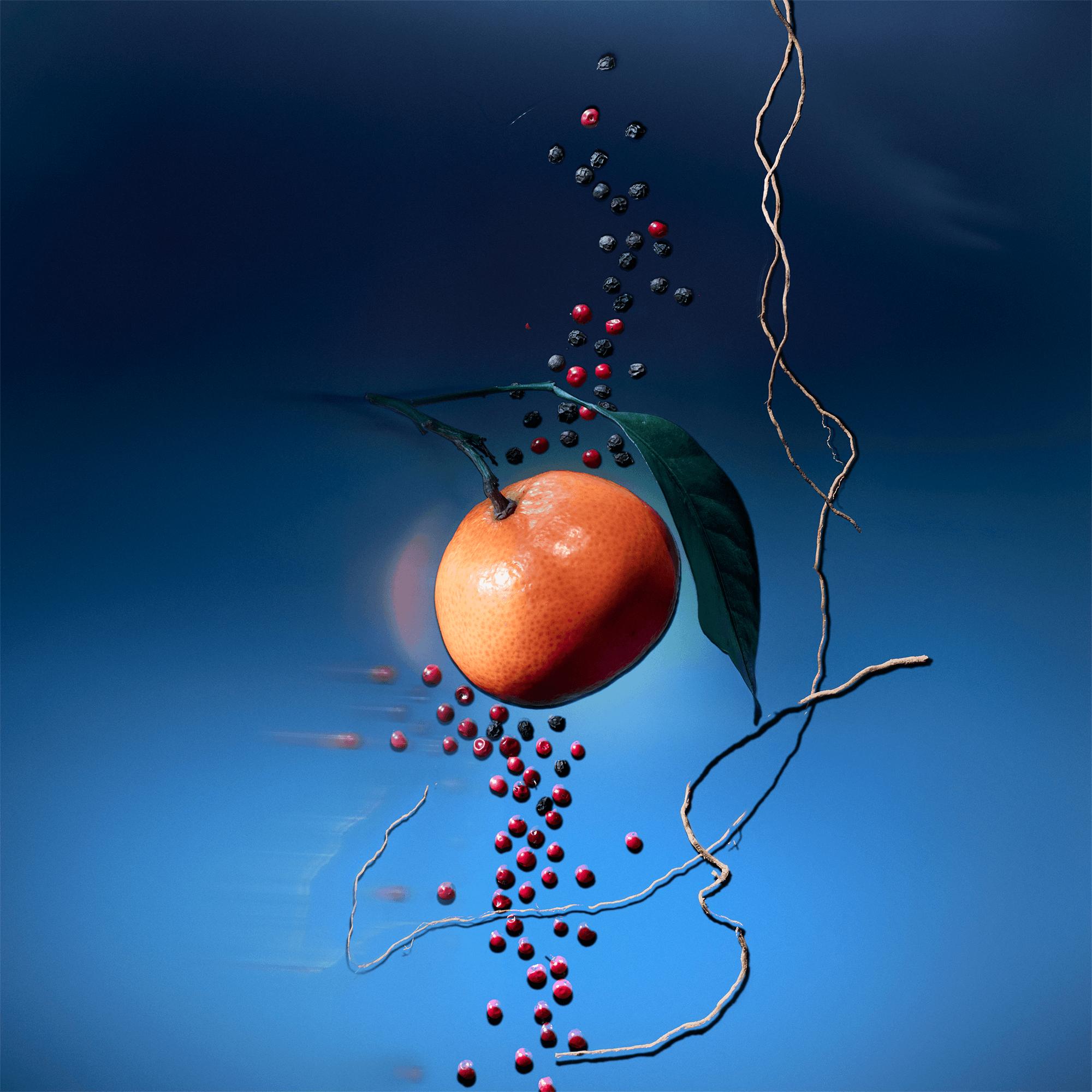 Travel Spray Météore - Perfumes and Beauty - Collections